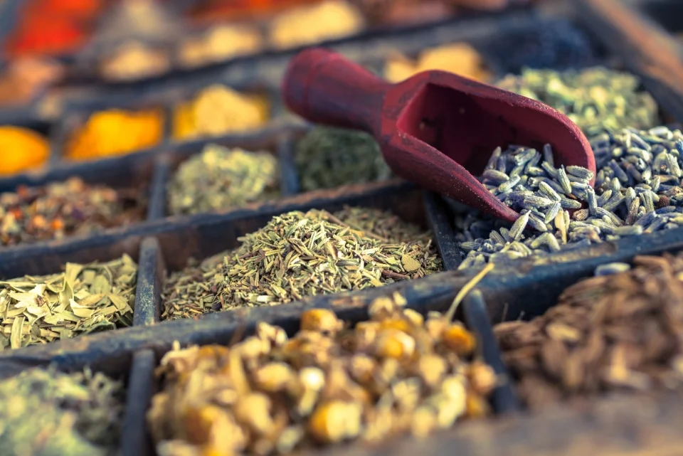 Sélection d’herbes et d’épices bio utilisées comme matières premières dans les fromages véganes Petit Veganne